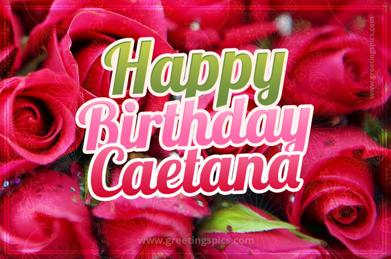 Happy Birthday Caetana beautiful Image with red roses