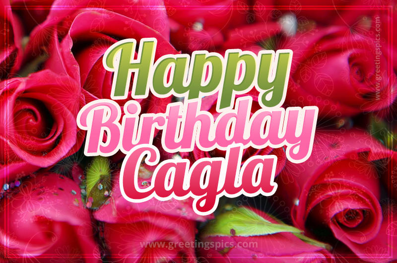 Happy Birthday Cagla beautiful Image with red roses