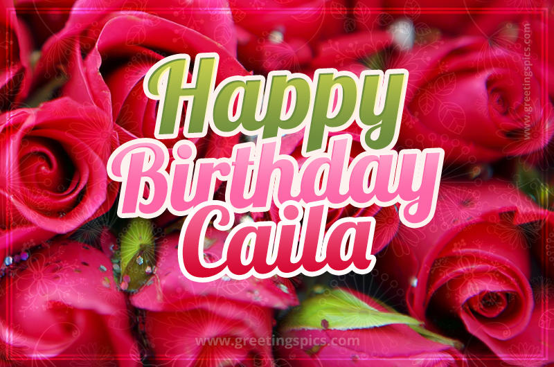 Happy Birthday Caila beautiful Image with red roses