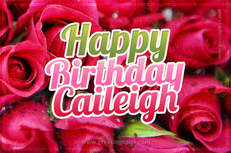 Happy Birthday Caileigh beautiful Image with red roses