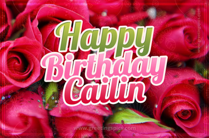 Happy Birthday Cailin beautiful Image with red roses