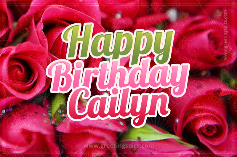 Happy Birthday Cailyn beautiful Image with red roses