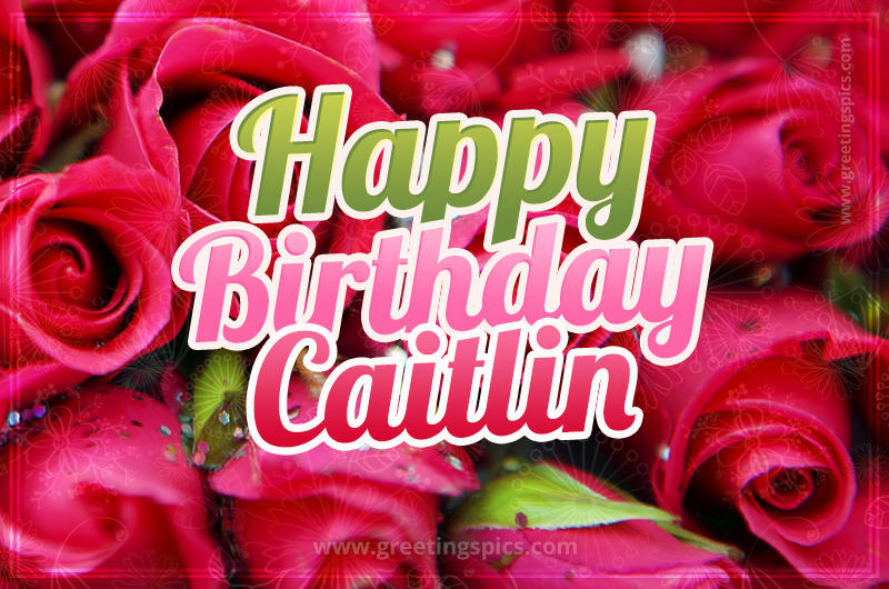 Happy Birthday Caitlin beautiful Image with red roses