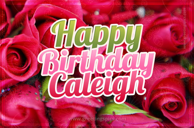 Happy Birthday Caleigh beautiful Image with red roses