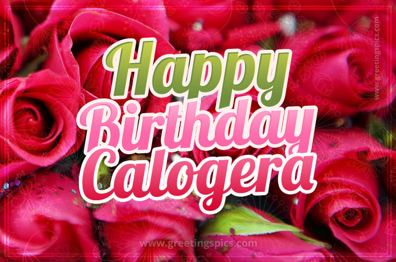 Happy Birthday Calogera beautiful Image with red roses