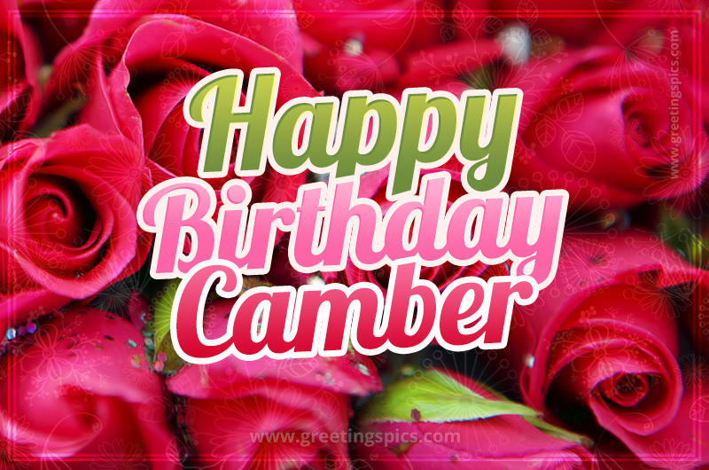 Happy Birthday Camber beautiful Image with red roses