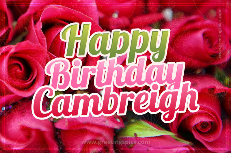 Happy Birthday Cambreigh beautiful Image with red roses