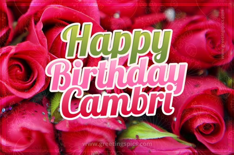 Happy Birthday Cambri beautiful Image with red roses