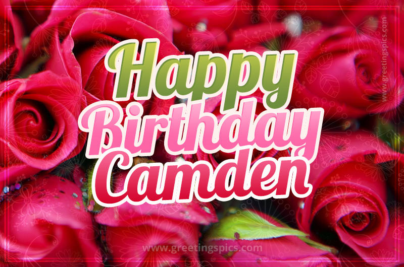 Happy Birthday Camden beautiful Image with red roses