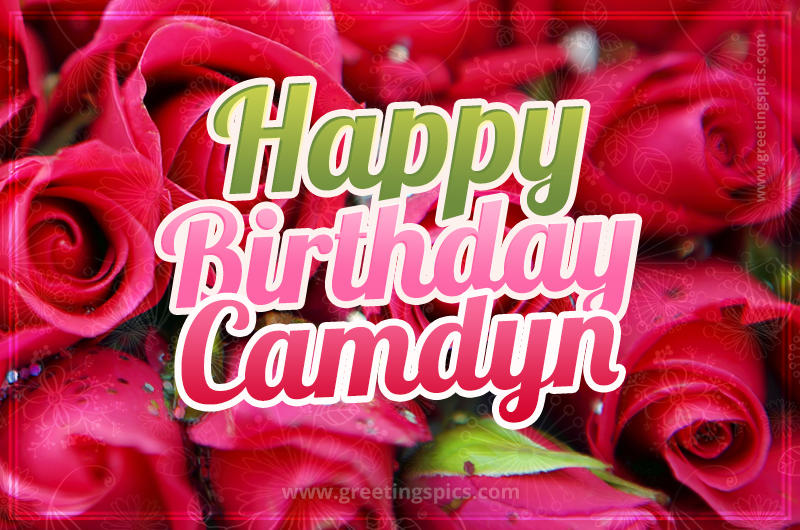 Happy Birthday Camdyn beautiful Image with red roses