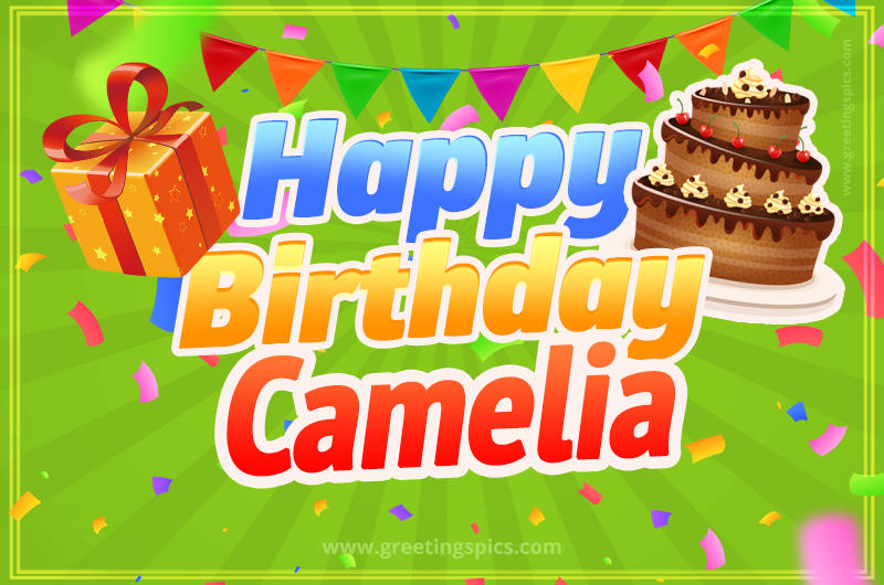 Happy Birthday Camelia picture with flags, chocolate cake and gift box