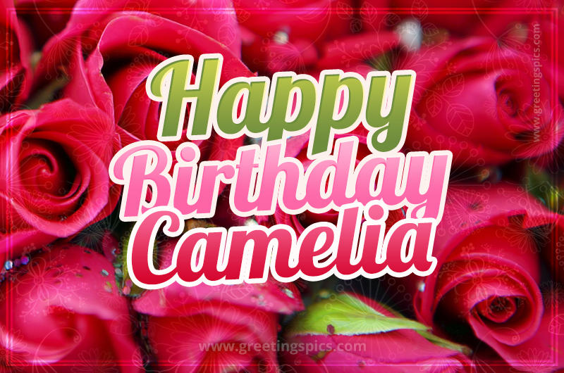 Happy Birthday Camelia beautiful Image with red roses