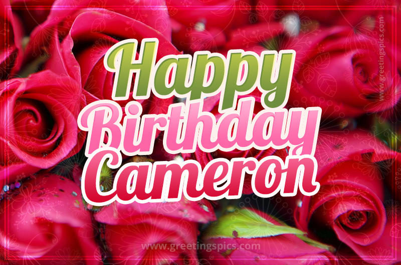 Happy Birthday Cameron beautiful Image with red roses