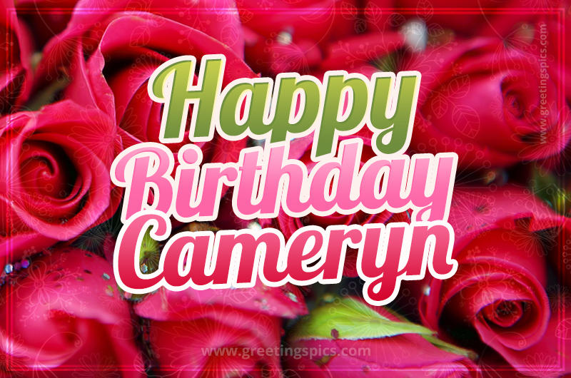 Happy Birthday Cameryn beautiful Image with red roses