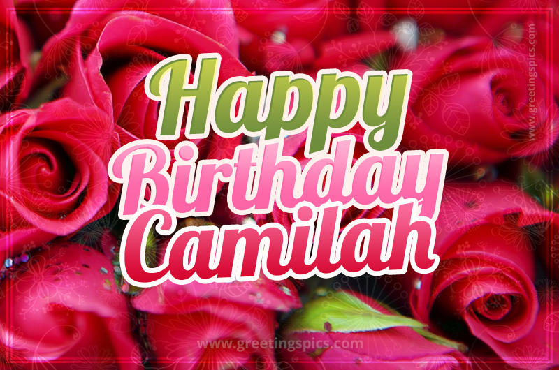 Happy Birthday Camilah beautiful Image with red roses