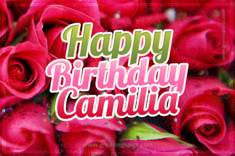 Happy Birthday Camilia beautiful Image with red roses