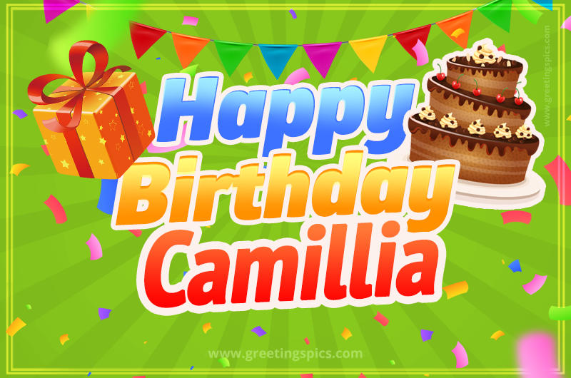 Happy Birthday Camillia picture with flags, chocolate cake and gift box