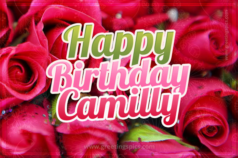 Happy Birthday Camilly beautiful Image with red roses