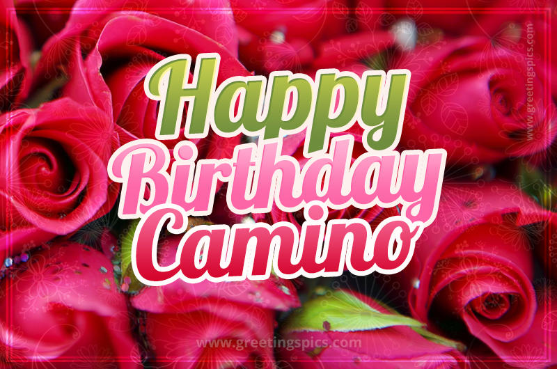 Happy Birthday Camino beautiful Image with red roses