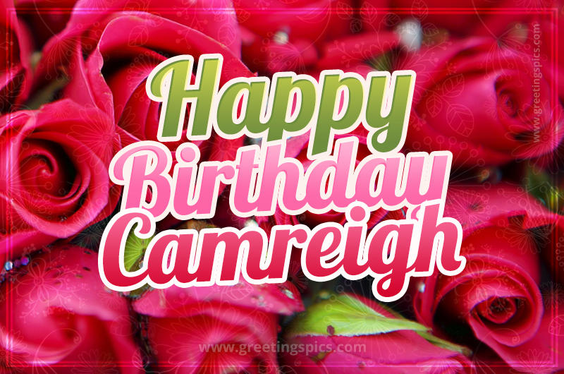 Happy Birthday Camreigh beautiful Image with red roses