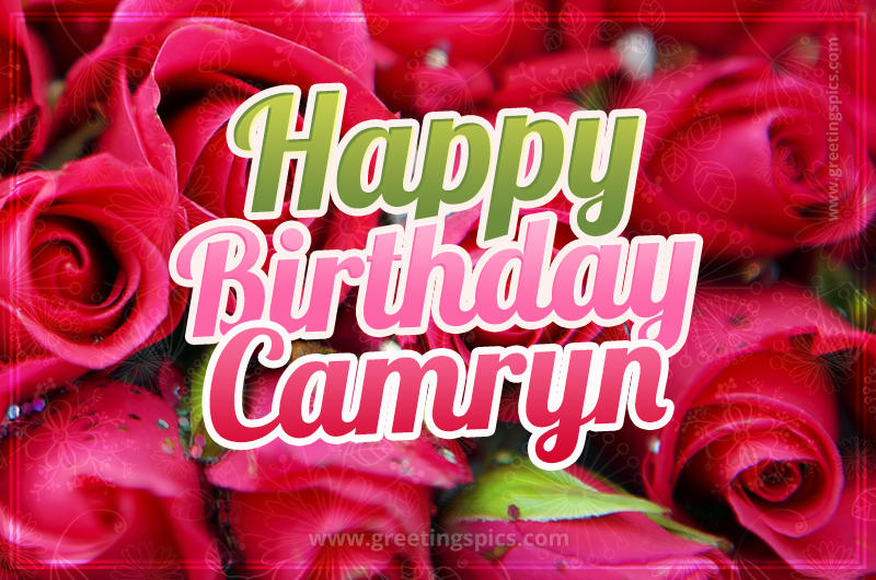 Happy Birthday Camryn beautiful Image with red roses