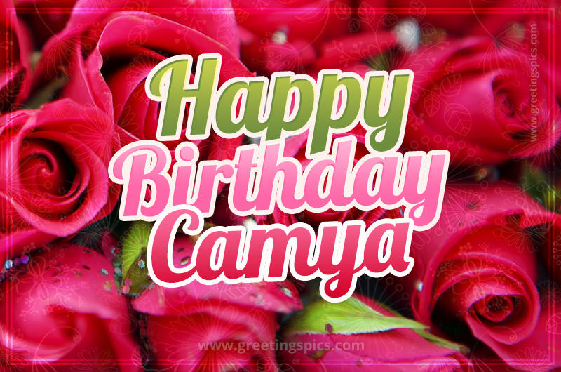 Happy Birthday Camya beautiful Image with red roses