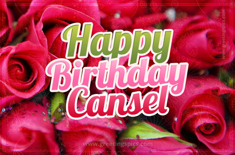 Happy Birthday Cansel beautiful Image with red roses