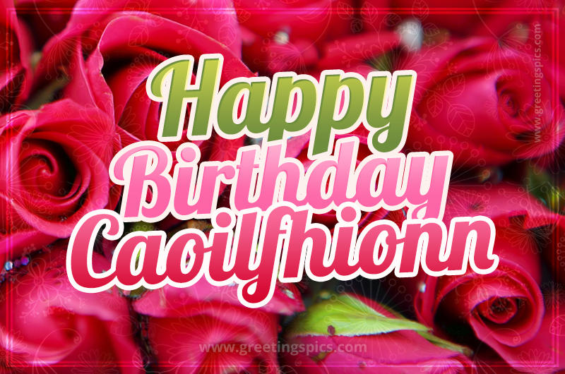 Happy Birthday Caoilfhionn beautiful Image with red roses