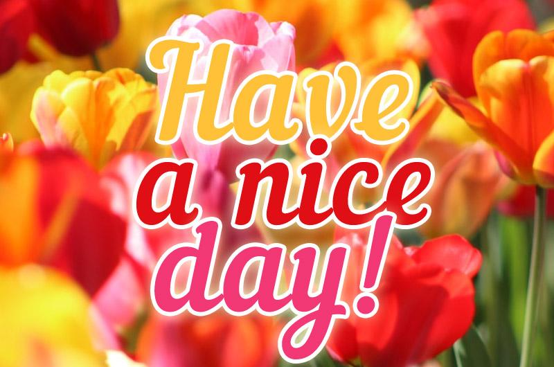 Have a nice day Image