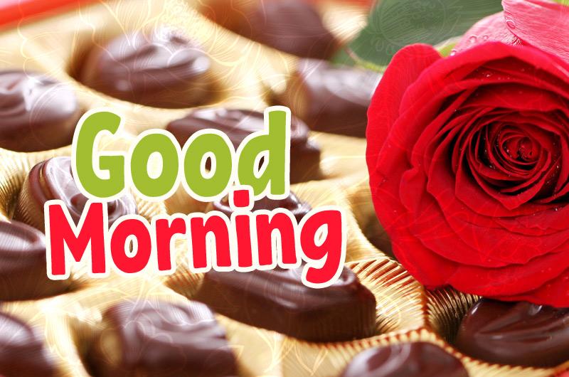 Good Morning - picture with a rose and chocolates