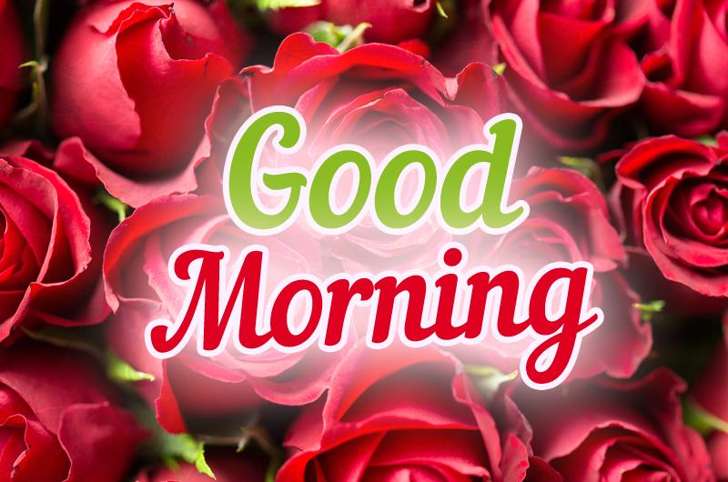 Good Morning Beautiful Picture with red roses