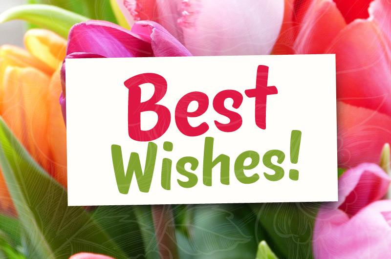 Best Wishes picture, with tulips on background