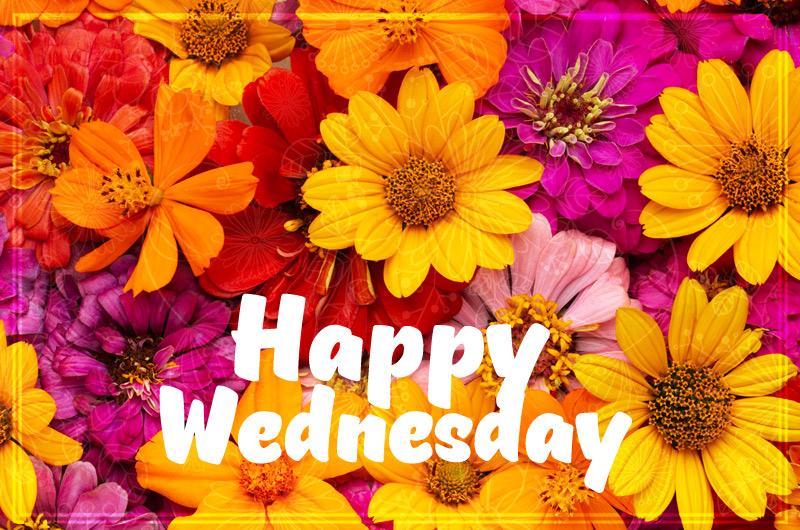 Happy Wednesday Image with colorful flowers