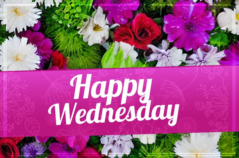 Happy Wednesday Picture with beautiful flowers