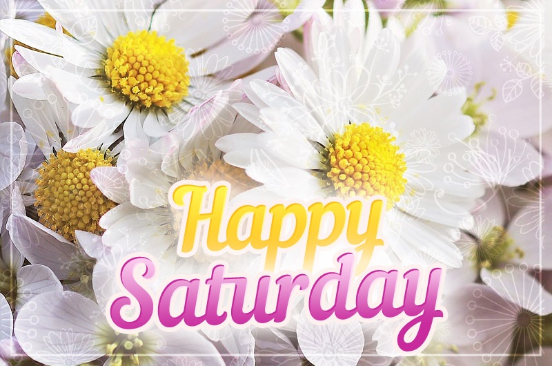 Happy Saturday Image with beautiful daisies on the background