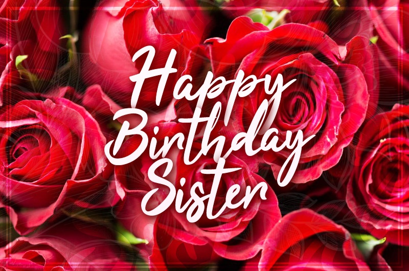 Happy Birthday Sister image with beautiful red roses