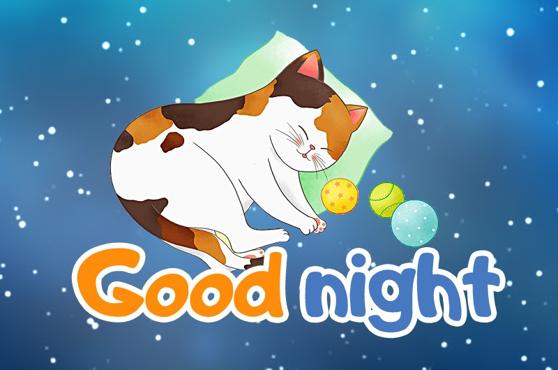 Good Night image with cartoon cat