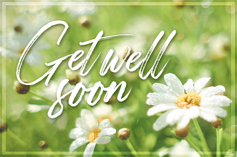 Get Well Soon Image with chamomile flowers
