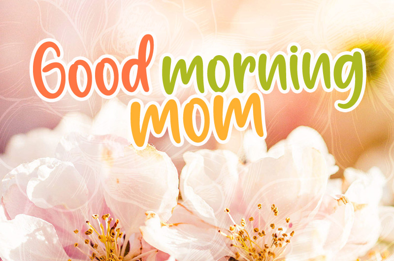 Good Morning Mom image with colorful caption and floral background