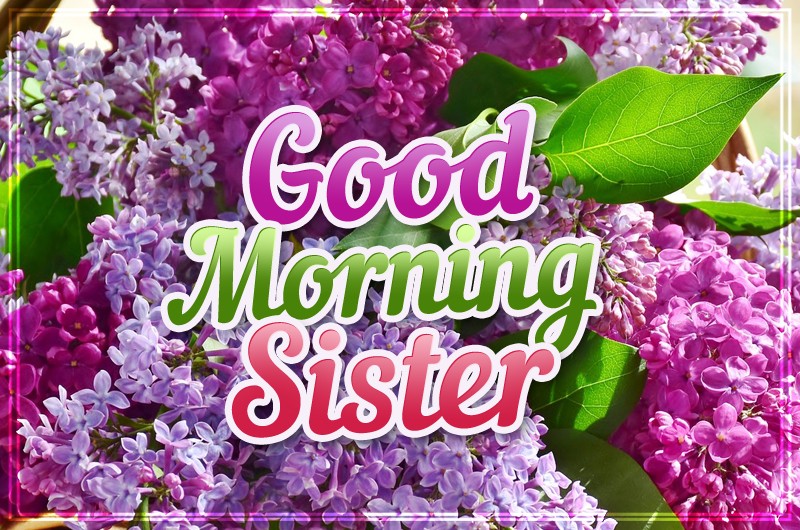 Good Morning Sister image with lilac bush on the background