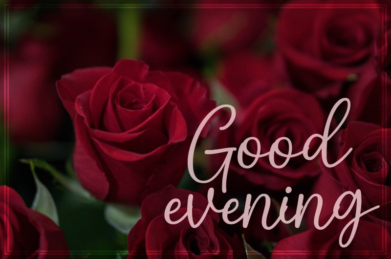 Good Evening image with beautiful red roses