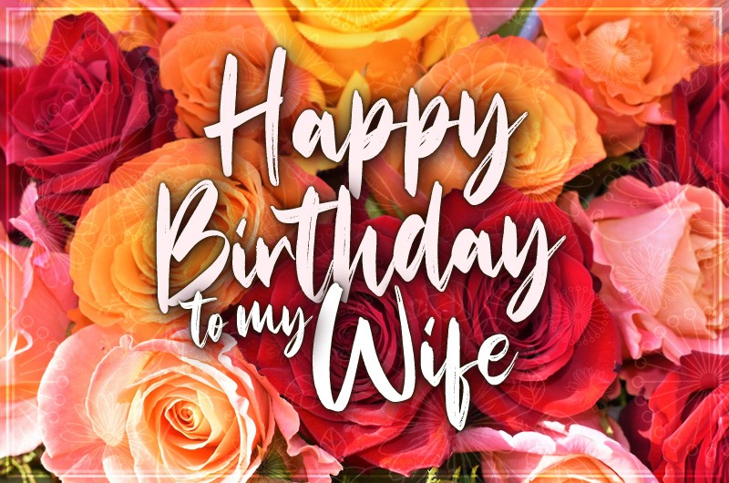Happy Birthday to my Wife greeting card with colorful roses photo