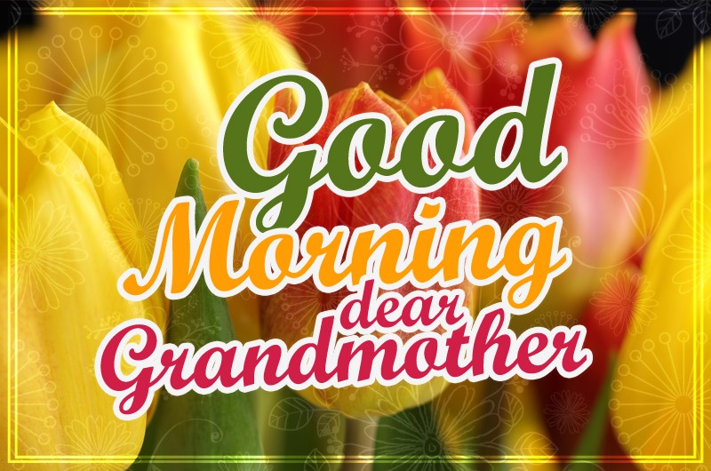 Good Morning dear Grandmother image with tulips