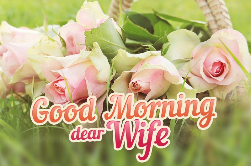 Good Morning dear Wife image with pink roses