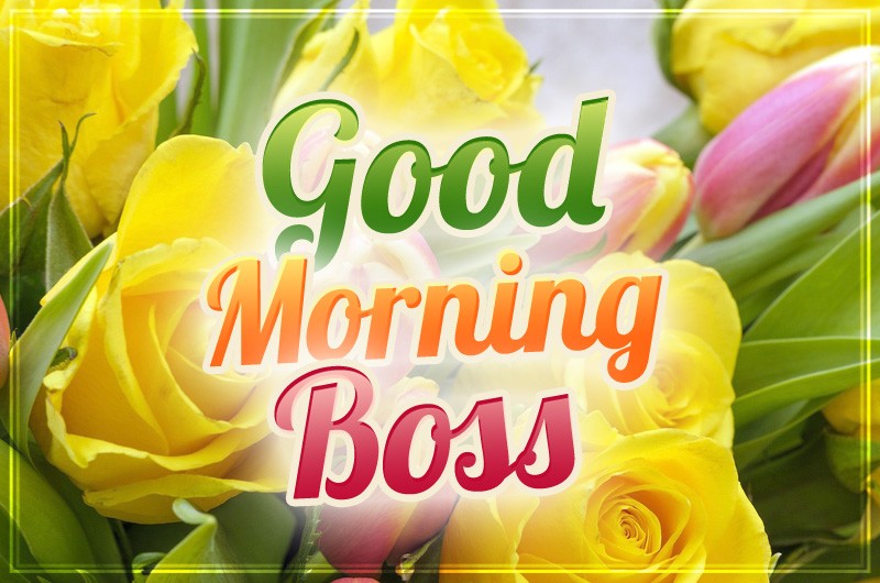 Good Morning Boss Image with beautiful flowers