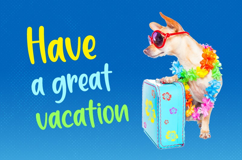 Have a great Vacation funny picture with dog