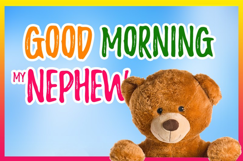 Good Morning Nephew colorful picture with cute teddy bear