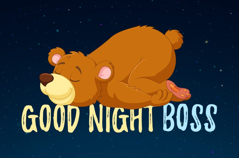 Good Night Boss pictureGood Night Boss funny picture with sleeping bear