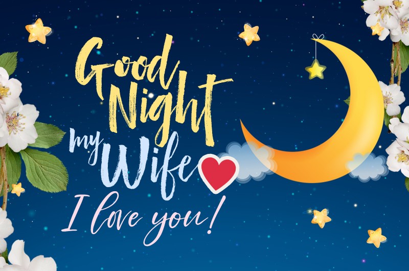 Good Night my Wife, I Love You, image with romantic message