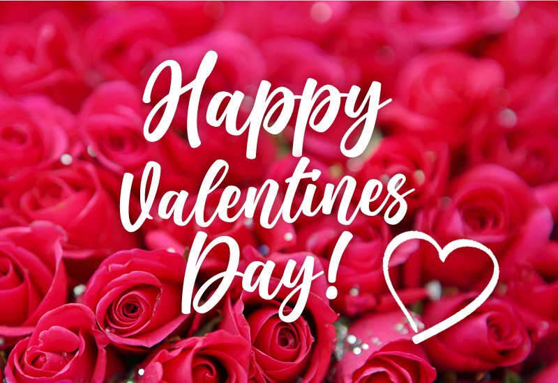 Happy Valentine's Day Image with beautiful red roses